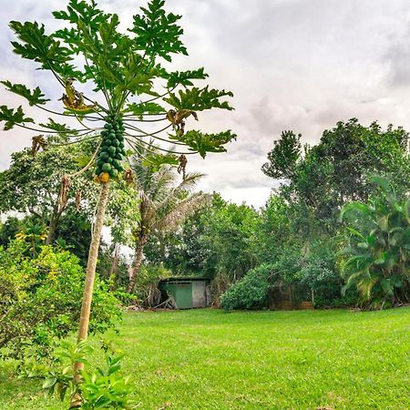 Charming Historic Hilo House Minutes To Beach! Экстерьер фото