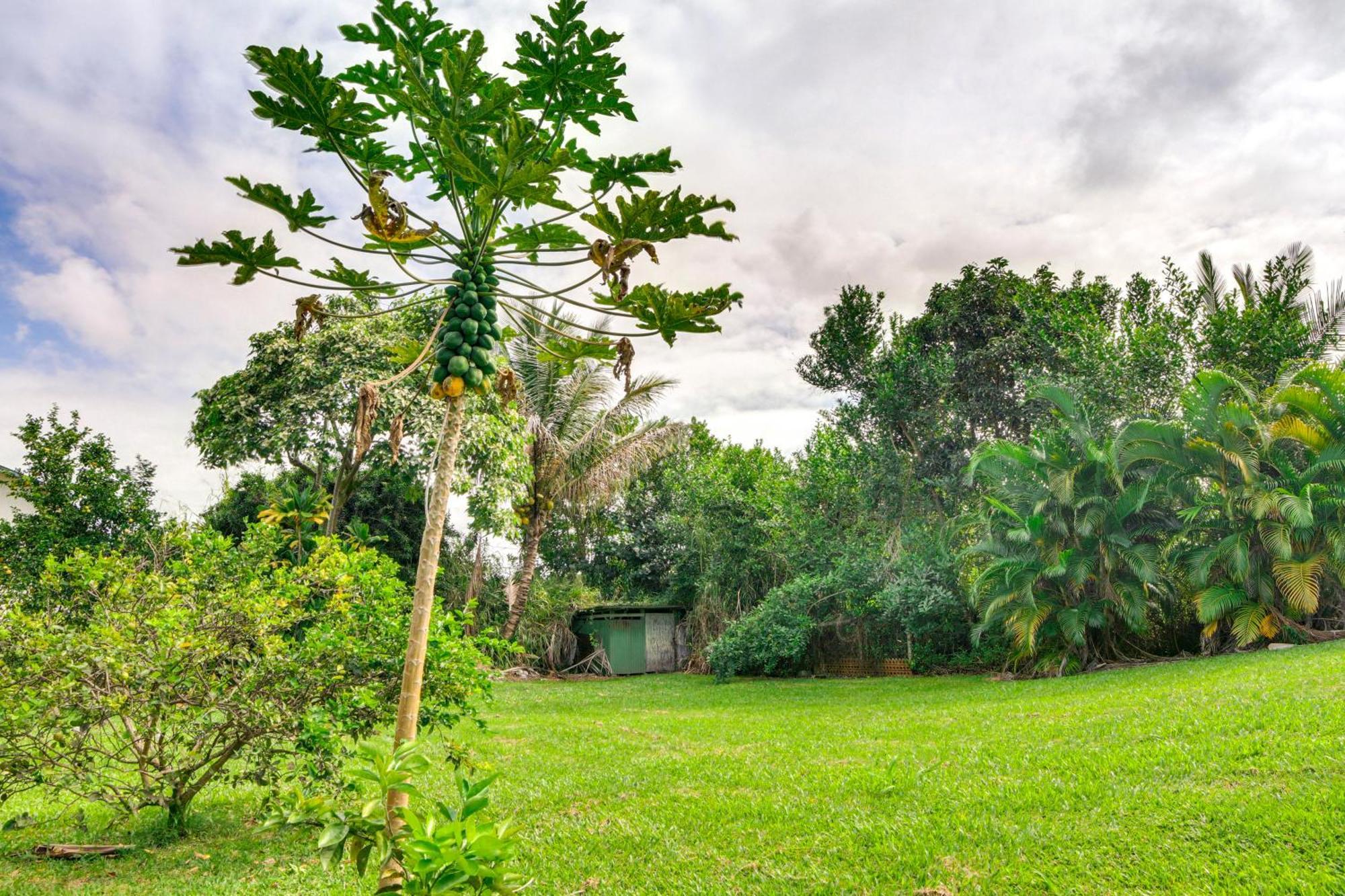 Charming Historic Hilo House Minutes To Beach! Экстерьер фото